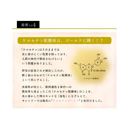 特茶 サントリー 伊右衛門 特茶 1000ml×12本入 ペット 2ケースセット 計24本 送料無料_6
