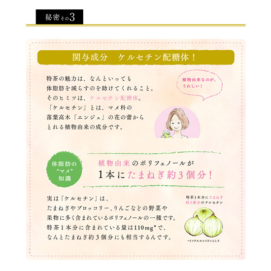 特茶 サントリー 伊右衛門 特茶 ジャスミン 500ml×24本入 ペット 2ケースセット [計48本] 送料無料_5