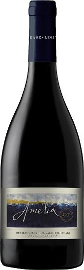 コンチャ イ トロ アメリア ピノ ノワール [2021] 750ml 赤　Amelia Pinot Noirの通販は 5,449円