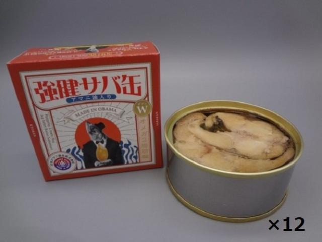 福井缶詰 強健サバ缶（さば油漬け）アマニ油入り 90g×12個セット 送料無料