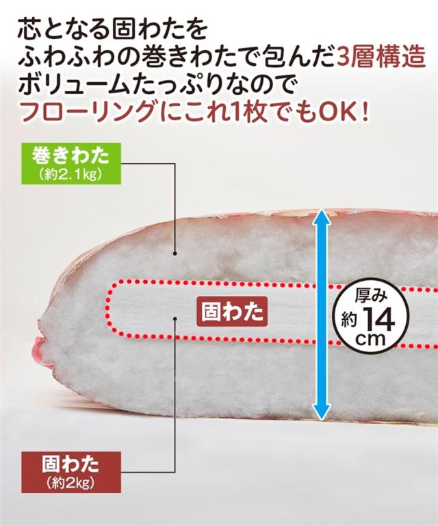寝具 敷布団 日本製 しっかり厚みのある敷 布団 2色組 シングル ニッセン nissen_1