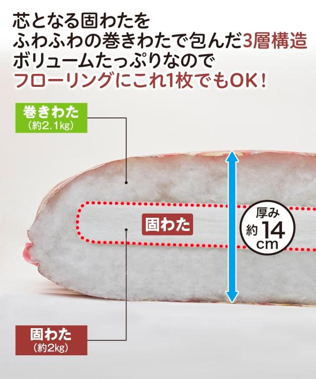 寝具 敷布団 日本製 しっかり厚みのある敷 布団 シングル ニッセン nissen_2