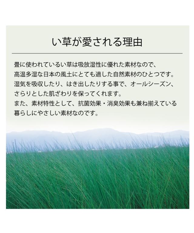 カーペット ぴったりサイズが見つかる シンプルな畳素材い草 本間4.5畳用 裏貼りあり ニッセン nissen_5