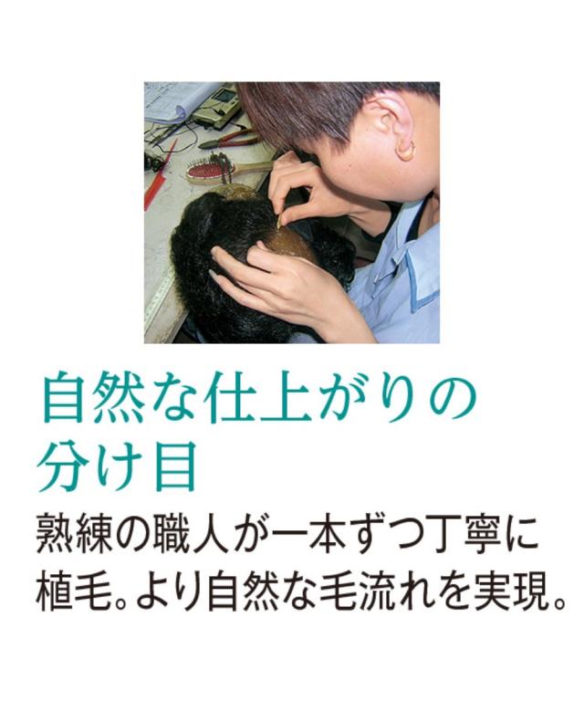 ウィッグ 分け目自由人毛100％フルウィッグ 固定ピン付 ミディアム