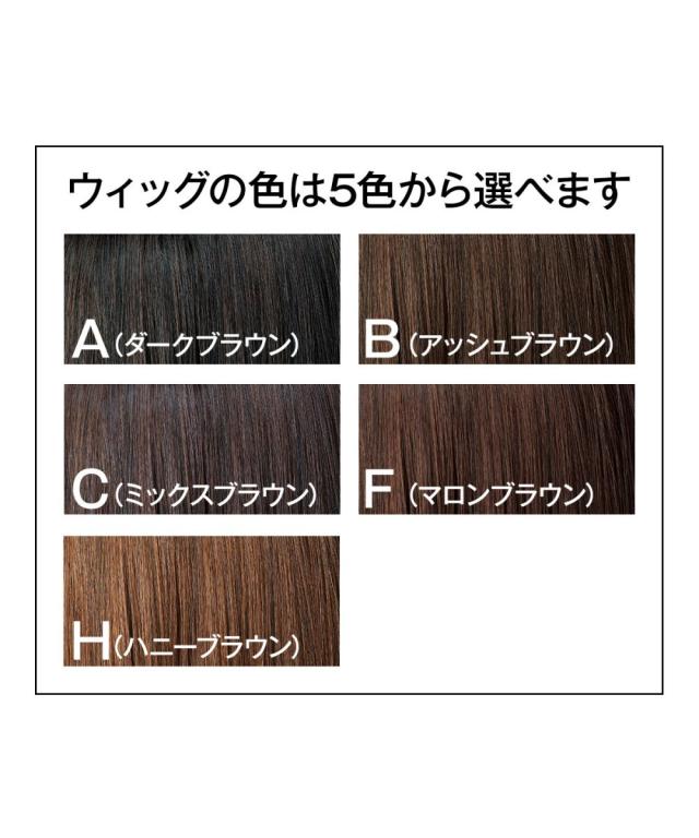 ウィッグ ずれにくい 小顔みせ耐熱フルウィッグ 固定ピン付