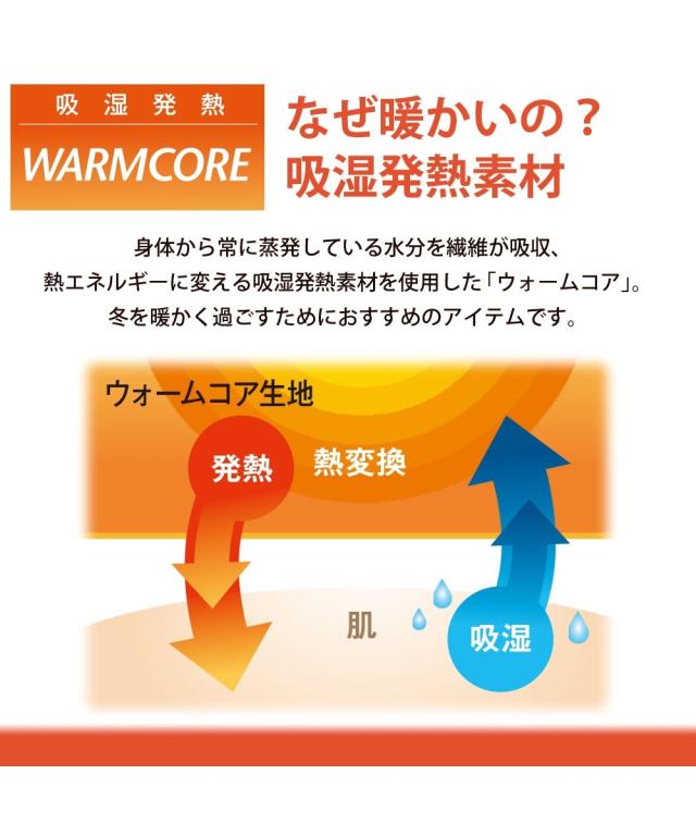 単品配送 こたつ 敷布団 吸湿発熱 はっ水加工付 なめらか フランネル 固わた入 ふっくら 厚み2cm グリーン/グレイッシュパープル/ネイビー/ピーコックグリーン/ブラウン 正方形 190×190cm ニッセン nissenの通販は