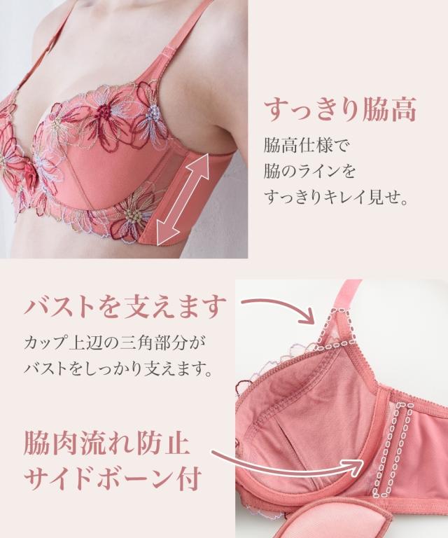ブラジャー ショーツ セット レディース 脇高 刺しゅう レース