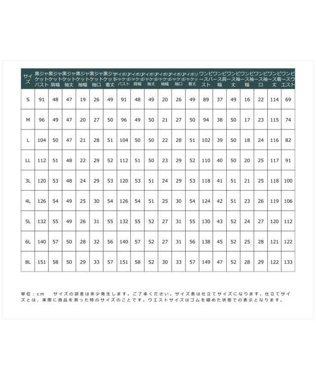 フォーマル 3点セット 大きいサイズ レディース 入学式 卒業式 Neina