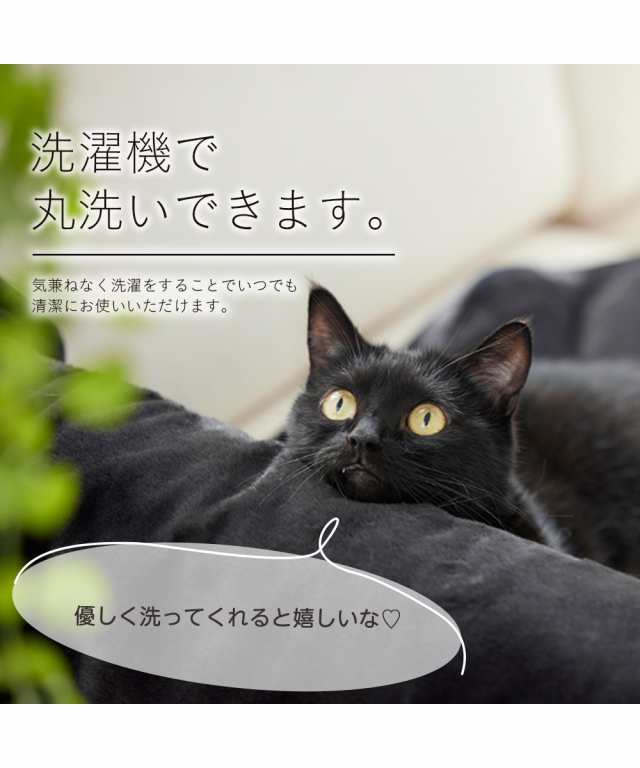 猫feel ブランケット ひざかけ まるで猫 のような モフモフ 吸湿発熱