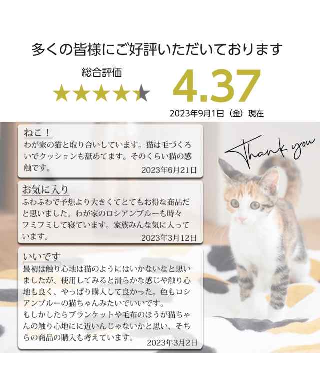 毛布 シングル 猫Feel 猫フィール まるで猫！のような モフモフ 2枚