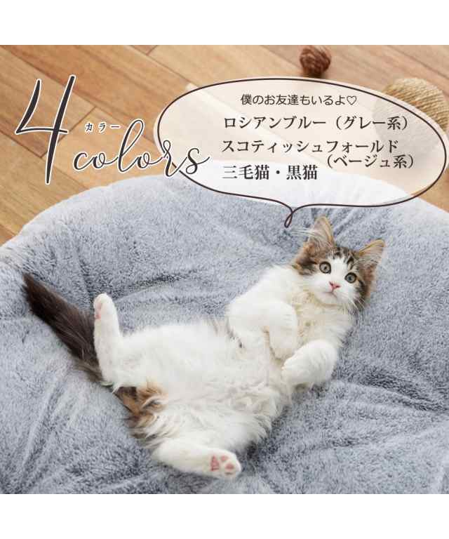 SNSで話題／まるで猫！のようなモフモフ中わた入りサークル寛ぎクッション ロシアンブルー スコティッシュフォールド 三毛猫 黒猫 猫フィール ねこ  丸形 ふわふわ 大人かわいい クッション クリスマスプレゼント ニッセン nissen