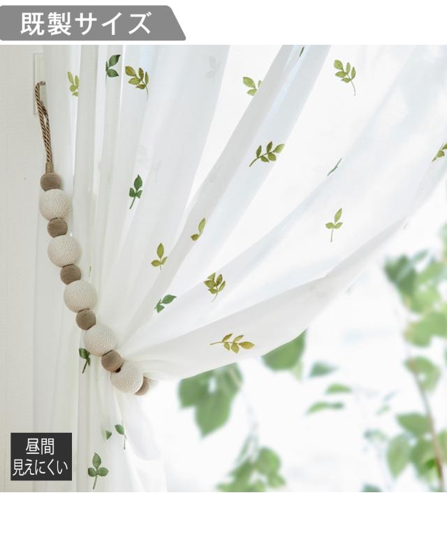 ドイツ ボタニカル画 石版画 (クロモリトグラフ) の額装品