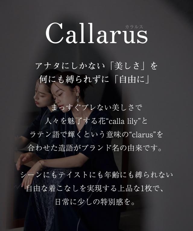 ドレス ワンピース レディース 結婚式 パーティー Callarus Front Lace Pleats Design Onepiece Dress 有 ネイビー系/黒系 M/L ニッセン nissen_1