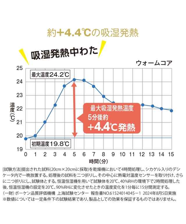 ラグ 吸湿発熱 とろける肌触りの洗えるフランネルキルトラグ ウォームコア 冬 約185×280cm 15mm ニッセン nissenの通販は