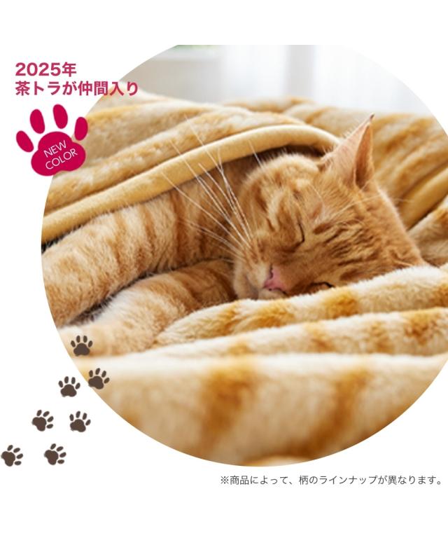 シーツ ダブル 猫Feel 猫フィール まるで猫！のような ボックスシーツ