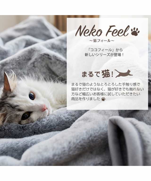 猫feel 猫フィール シングル 毛布 スコティッシュフォールド - 布団