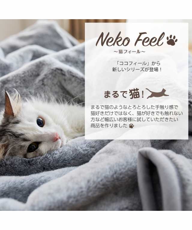 福袋 3点セット 猫Feel 猫フィール 猫とくつろぐ クッション