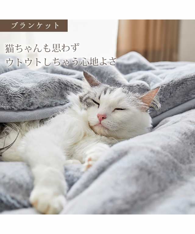 クッション 福袋 猫とくつろぐ × ブランケット 3点セット 猫Feel