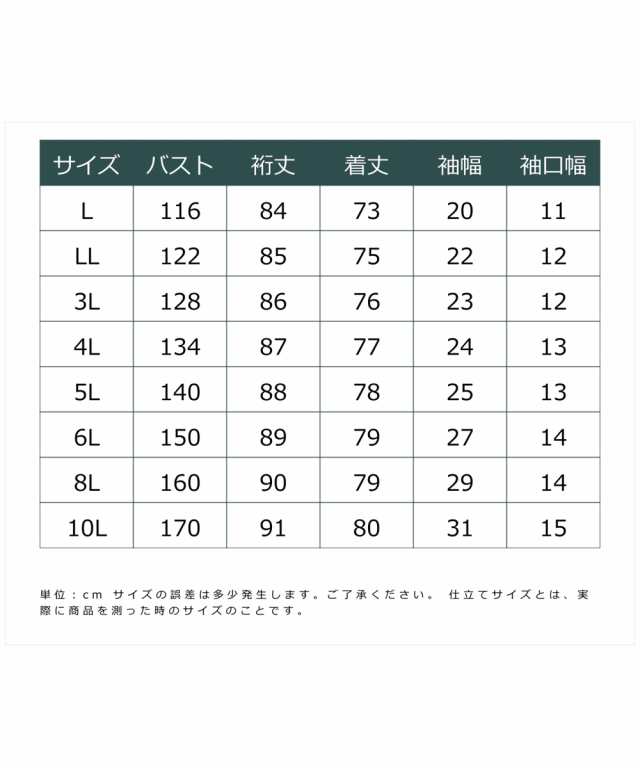 シャツ ブラウス 大きいサイズ レディース レース チュニック シック スタイル オフホワイト/黒 6L/8L/10L ニッセン nissen