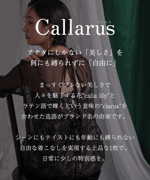 パーティドレス ワンピース レディース 結婚式 パーティー オケージョン ドレス スタンド カラー プリント 重ねシフォンオーガンジー デザイン ｜ 有〔Callarus〕_1