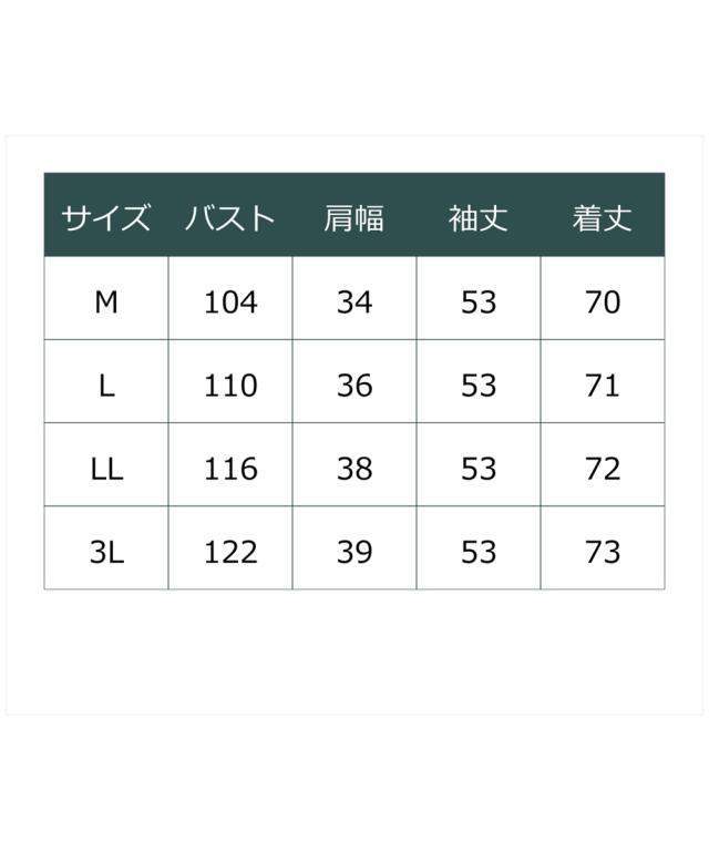 シャツ ブラウス レディース 変形ギャザーティアード Hana服 M/L