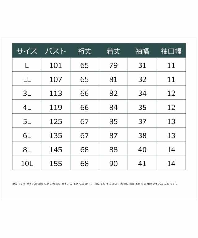 チュニック 大きいサイズ レディース シアー レース ブラウス miclat 体型カバー お尻隠れる 6L/8L/10L ニッセン nissen