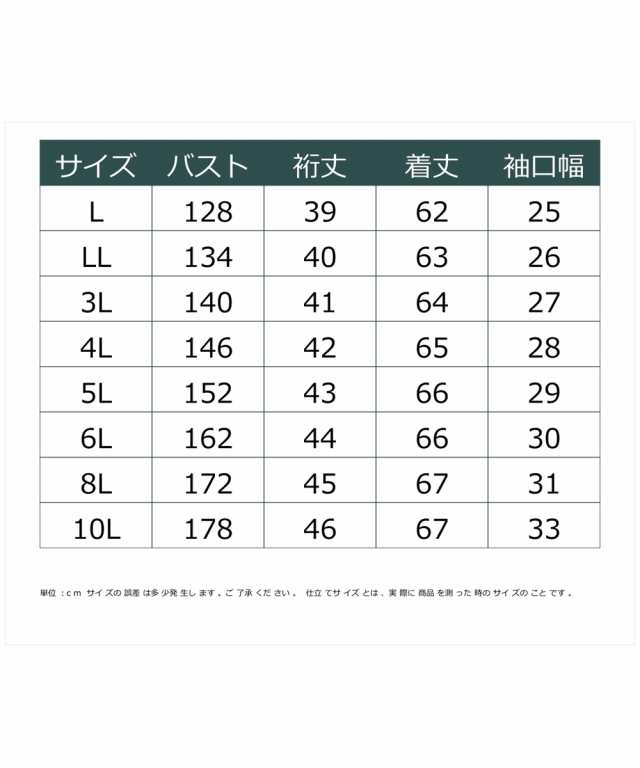 シャツ ブラウス 大きいサイズ レディース コットン レース プルオーバー miclat 6L/8L/10L ニッセン nissen