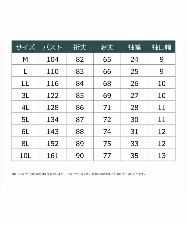 シャツ ブラウス 大きいサイズ レディース 衿付ナイロン プルオーバー GEVS. 対応 M〜5L ニッセン nissen