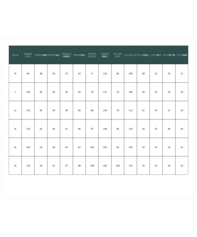 パーティドレス パンツ 大きいサイズ レディース 結婚式 パーティー ドレス スウィッチング レース ブラウス ＋テーパード 有  二次会 4L/5L ニッセン nissen agesugi_sfaの通販は