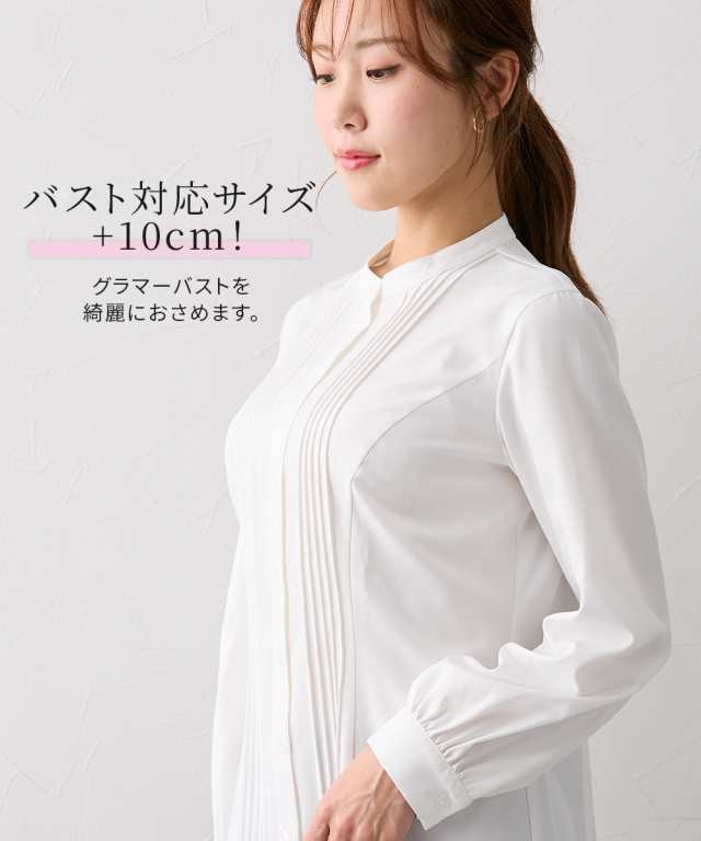 シャツ ブラウス レディース 大きい胸専用 長袖 ピンタック LL/3L ニッセン nissen agesugi_sfaの通販は abmoghatari.ir