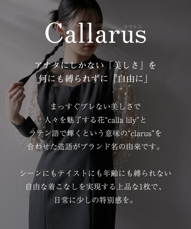 パーティドレス ワンピース レディース 結婚式 パーティー オケージョン ドレス 袖チュール使い裾切替 デザイン 有 〔Callarus〕 二次会 M/L ニッセン nissen_1