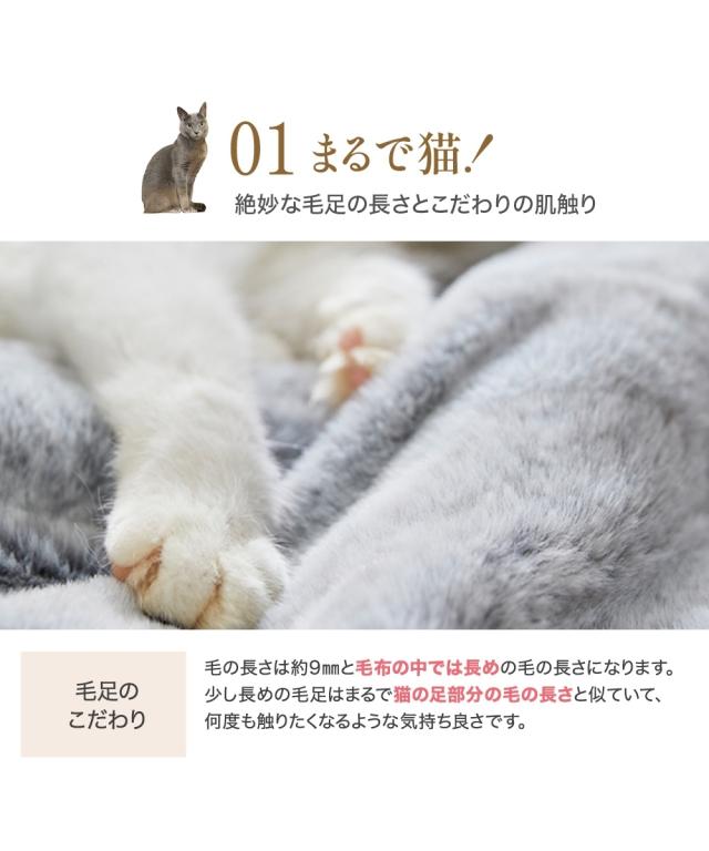 こたつ布団 こたつ掛布団 まるで猫 のようなモフモフ こたつ 掛け 布団 猫Feel 正方形 205×205cm ニッセン nissen_7