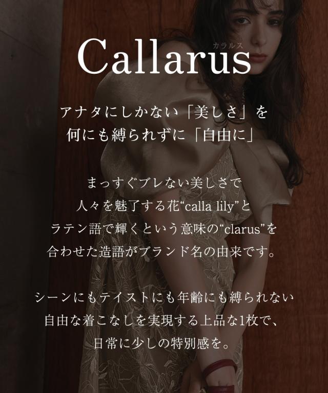 パーティドレス ワンピース レディース お呼ばれ よそいき 結婚式 パーティー オケージョン ドレス メタリックボイルオーガンジーオフ ショルダー デザイン 刺繍 〔Callarus〕_1