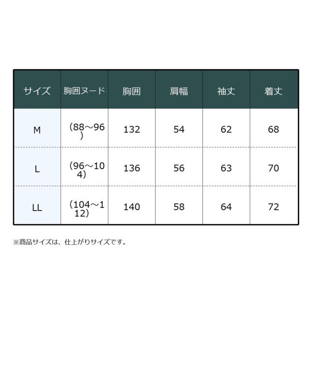 ブルゾン アウター メンズ 軽量中わたスタンド ストレッチ 耐水 透湿 裾紐付き 冬 | M/L/LL | ニッセン nissen_19