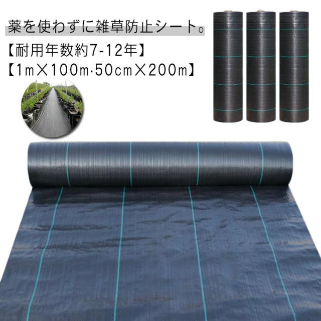 防草シート 1ｍ×100m 農用シート 草よけ 除草 高耐久 ロックシート 厚み0.64ｍｍ ザバーン 黒 国華園 草 草除け 2m×100m 除草シート 草よけ 芝生 庭 農用シート 雑草 防草