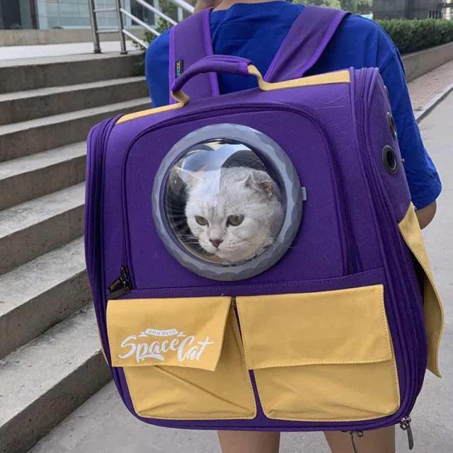 ペットキャリーバッグ ペットキャリー リュック 猫 宇宙船 犬 ペット