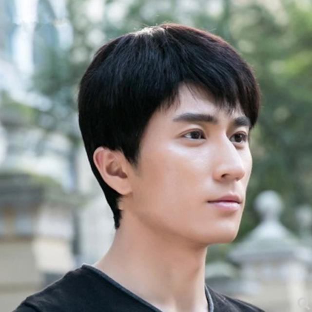 男性 黒髪 自然 メンズ 人毛100％! かつら ウイッグ ナチュラル フル