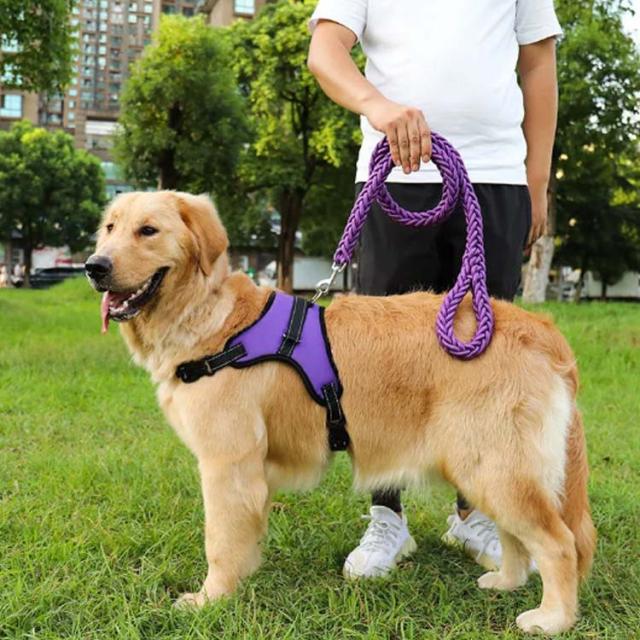 ハーネスリードセット ハーネス 通気 中型犬 大型犬 ペットハーネス ウェアハーネス 犬用 脱出防止 首輪 ナイロン 調整可能 光反射 夜安の通販はau Pay マーケット Rbm Shop