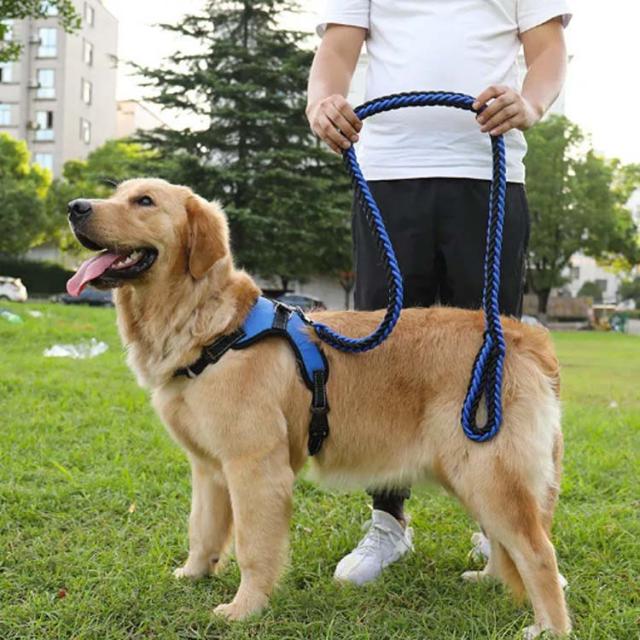 ハーネスリードセット ハーネス 通気 中型犬 大型犬 ペットハーネス ウェアハーネス 犬用 脱出防止 首輪 ナイロン 調整可能 光反射 夜安の通販はau Pay マーケット Rbm Shop