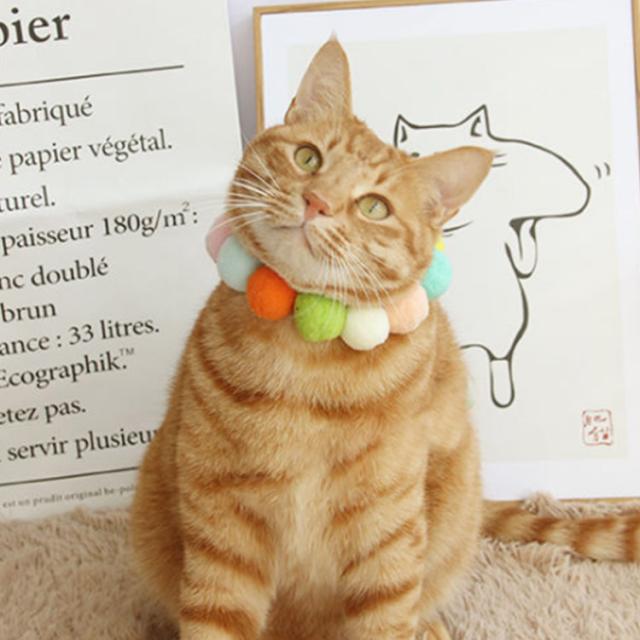 ss55、ジューンブライド、シングルリボン(⑤)わんちゃん猫ちゃん用首輪 猫 首輪 ハート 鈴付き キラキラ かわいい おしゃれ 小型犬 犬用