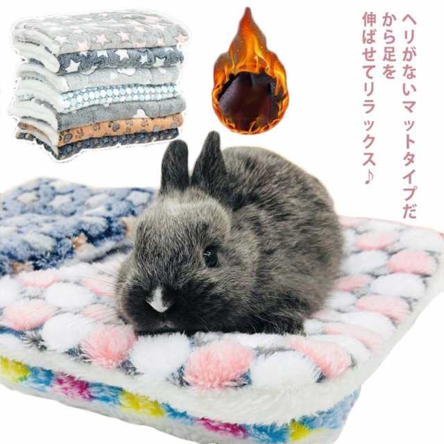 うさぎ用クッション