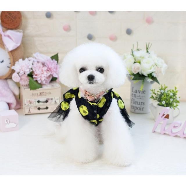 犬のぬいぐるみ ドット柄ドレス付き 犬のぬいぐるみ ドット柄ドレス付き G103707215 - ぬいぐるみ工場 直営 店