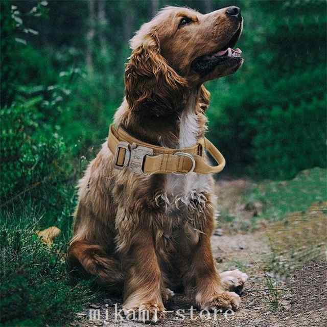 犬首輪カラー犬用首輪軽い半額セール中型犬大型犬超大型犬小型犬おしゃれ痛くない丈夫の通販はau PAY マーケット - ベレザヴォーチェ