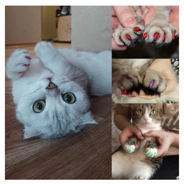ペットの犬の猫の足の爪mブラックのグルーミング個のネイルキャップの通販はau Pay マーケット Nature Tree
