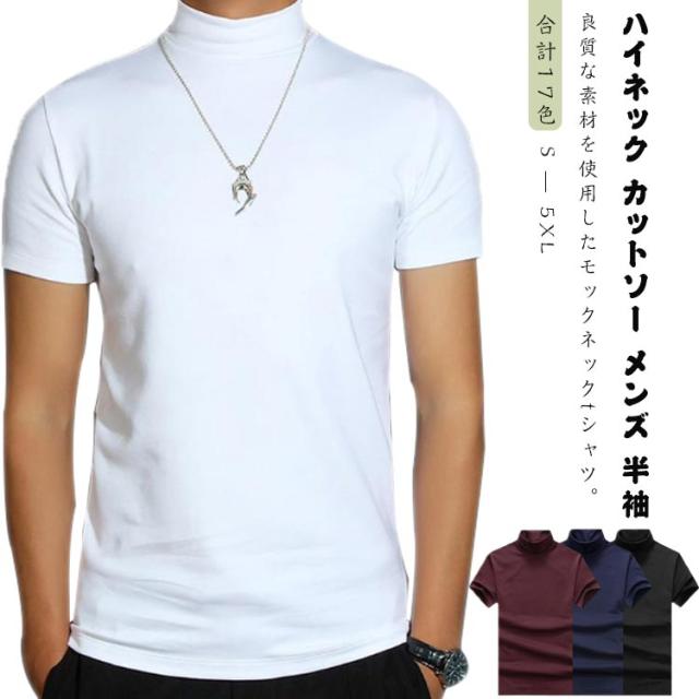 【美品】IZREEL イズリール　モックネック　ハイネック　半袖Tシャツ　メンズ 美品】IZREEL イズリール モックネック ハイネック 半袖Tシャツ