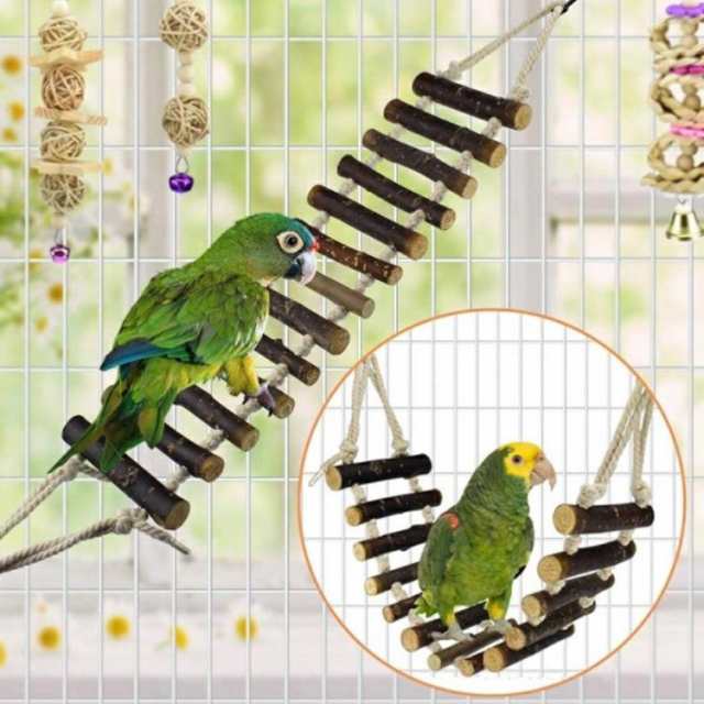 バードトイ○Natural swing流木○フクロモモンガ インコブランコ 許可なく 小鳥