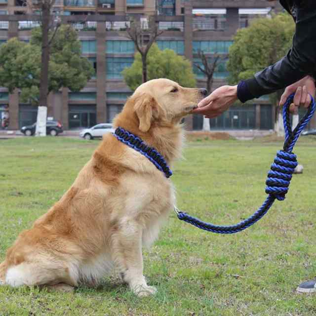 いちばん安い 【大型犬】セット 首輪＆リード カーラー ラブラドール