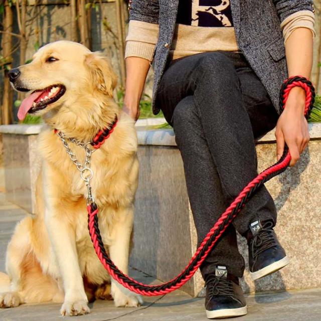 リード 首輪 2点セット 犬 首輪セット リードセット 送料無料