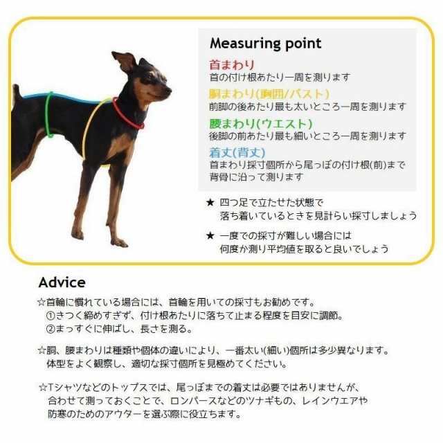 ドッグウェア ペットウェア ワンピース ドレス 犬服 洋服 ペット用品 犬用 猫用 小型犬 可愛い おしゃれ チュール 袖なし メッシュ キラの通販はau Pay マーケット Apaapa