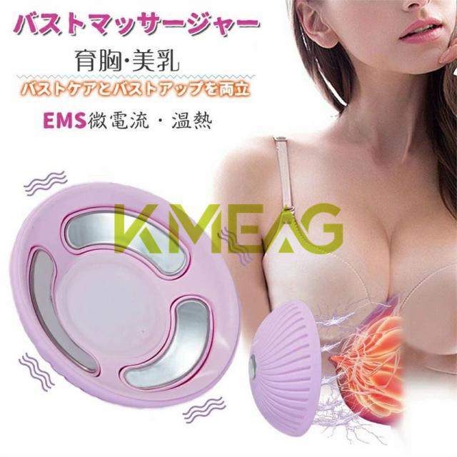 バストアップ ems バストケア バストマッサージャー バスト マッサージ 器 EMS 温熱 マッサージ LED 美胸 胸マッサージャー バストアップ 育乳 美乳 美肌 USB充電 リモコン付き おうちエステ 乳房 胸部 軽量 2枚入り 小胸 胸 谷間